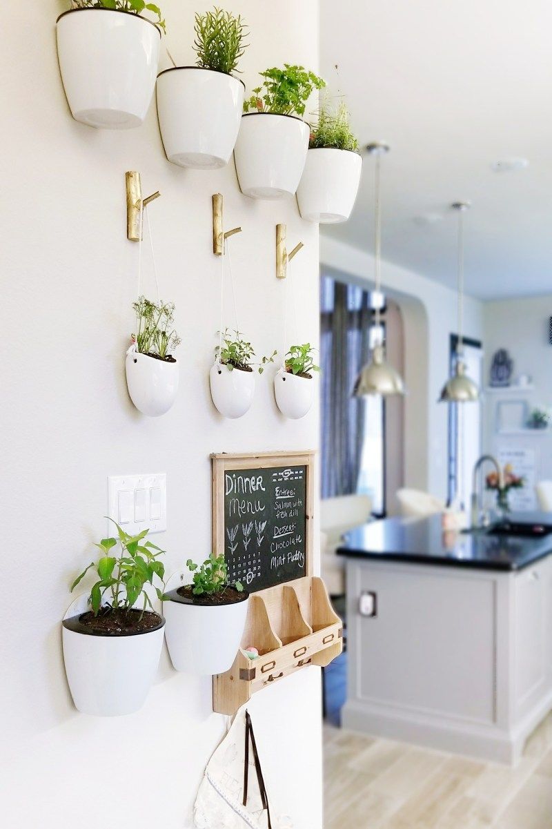 hang or organize some plants on wall