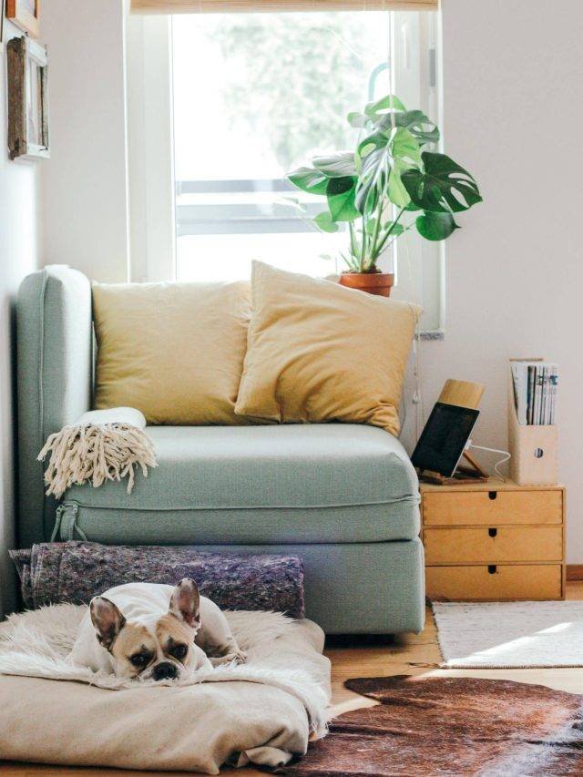 Dream Home in Jaipur