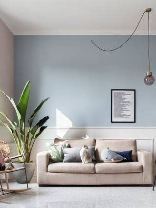 transitional-living-room