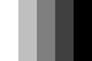 Hall Guest Room Colour Combination Classic Black and White