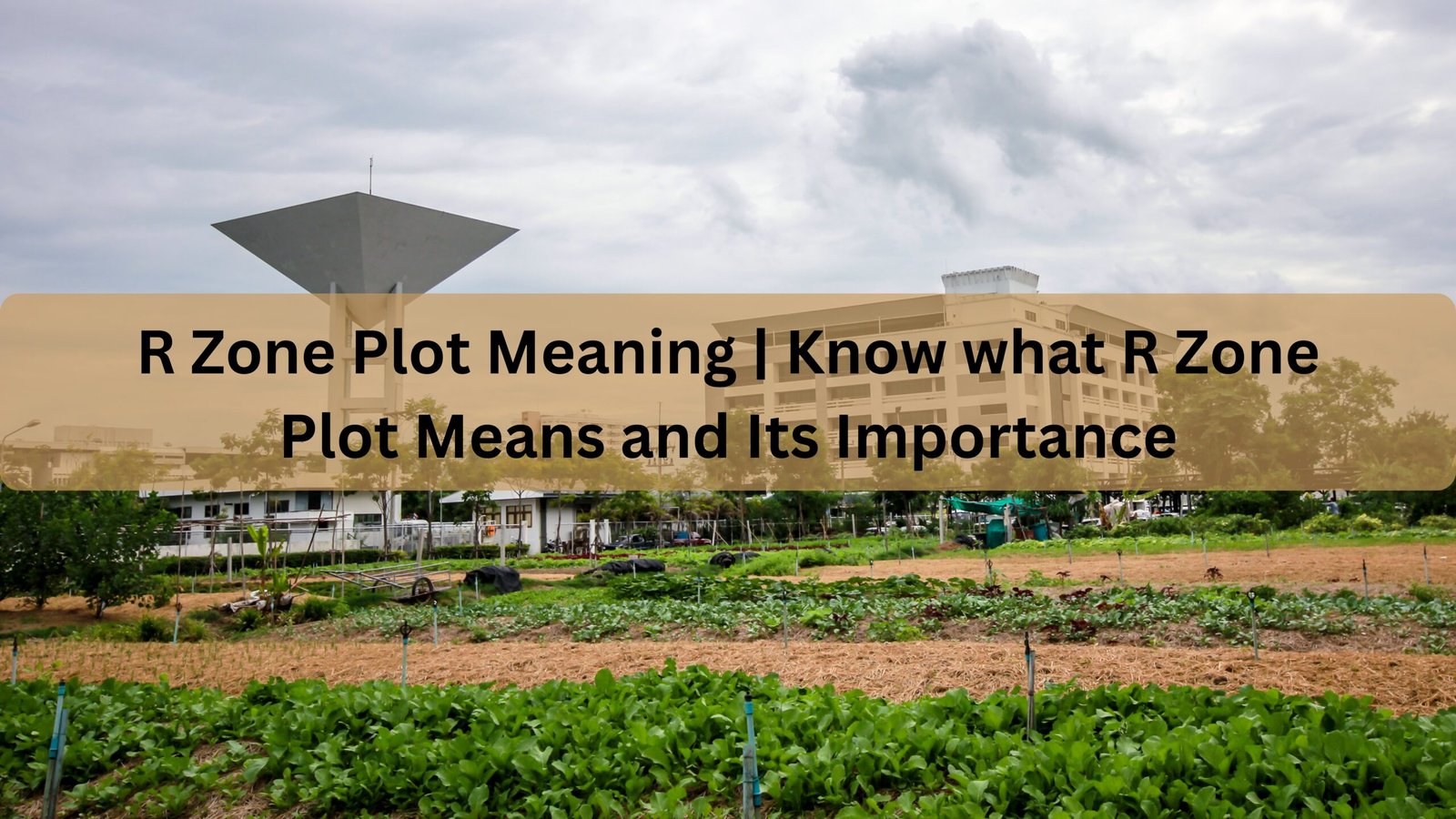 R Zone Plot Meaning | Know what R Zone Plot Means and Its Importance